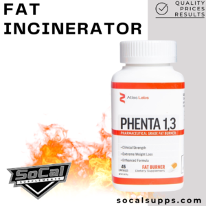PHENTA 1,3: Fat Incinerator